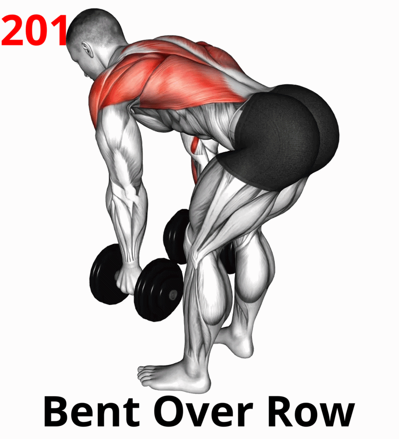 11 (Push) Front Rise-07a1.gif