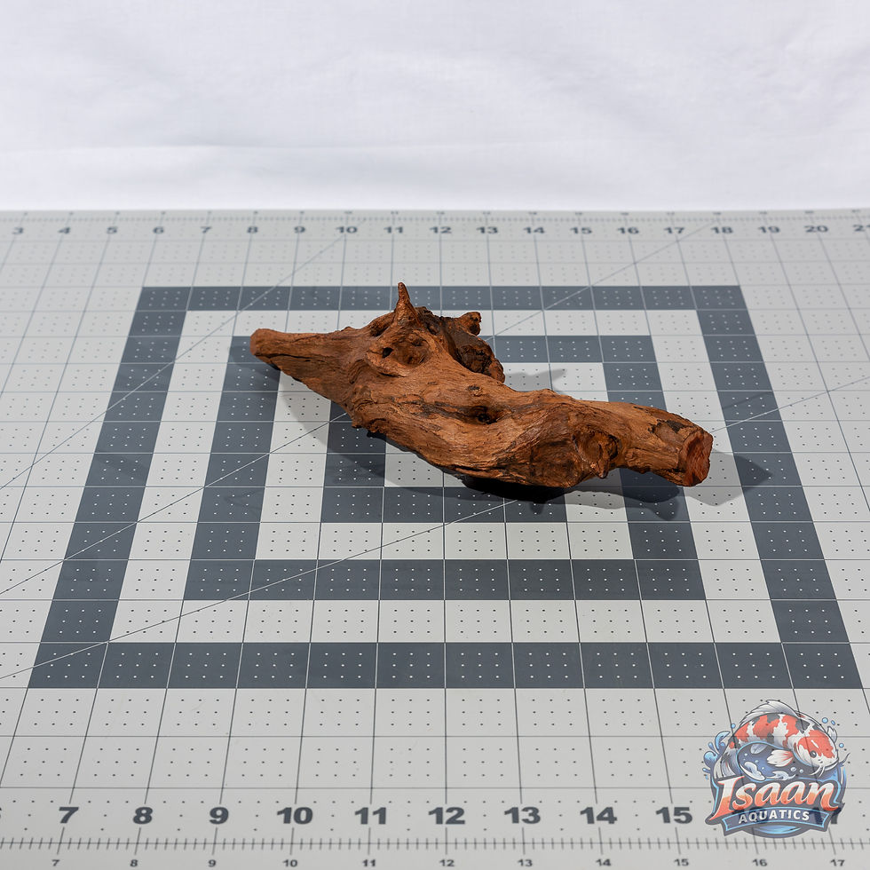 Thumbnail: Mopani Driftwood - WYSIWYG