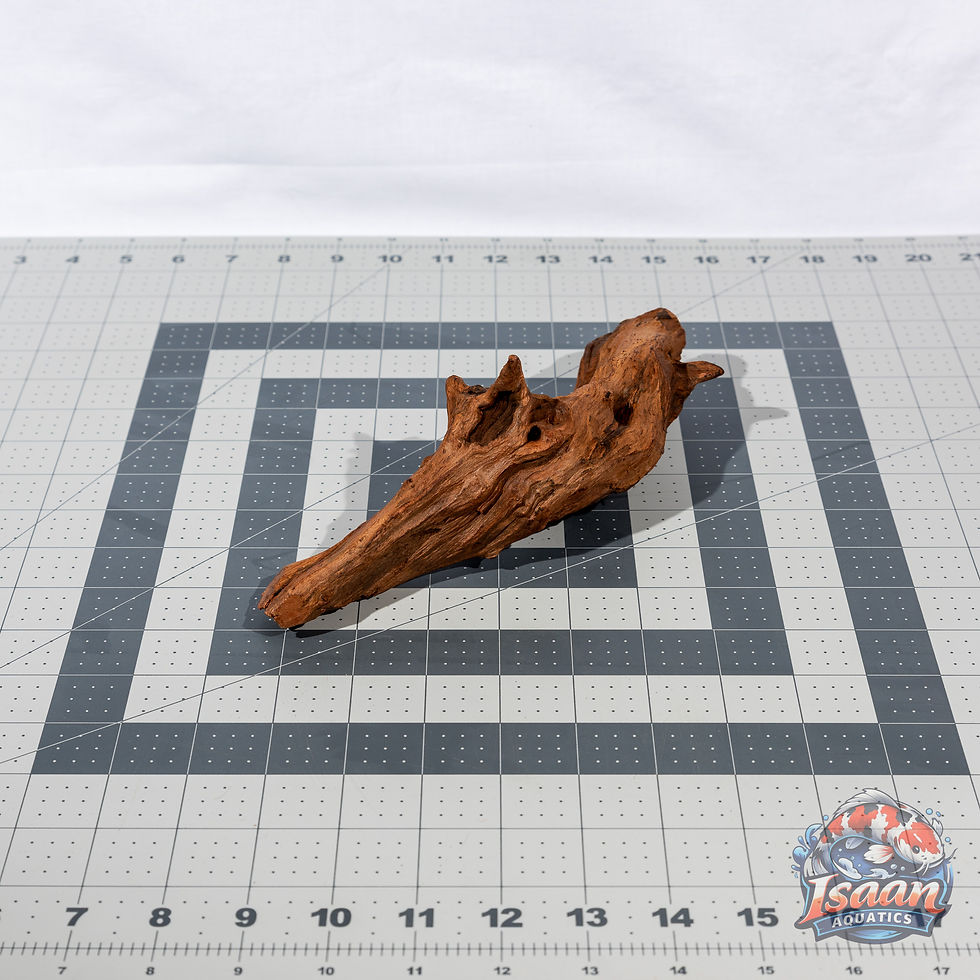 Thumbnail: Mopani Driftwood - WYSIWYG