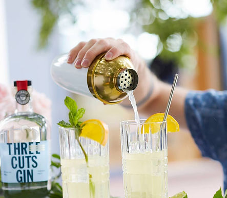 Three Cuts Gin