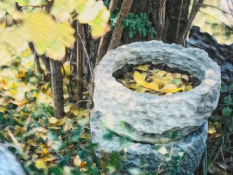 修道:抬高自己的道德底線