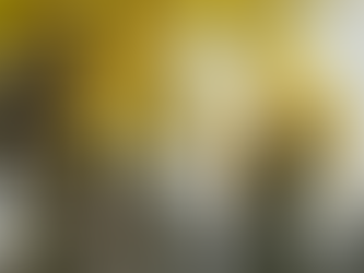 兼愛非攻，民胞物與。