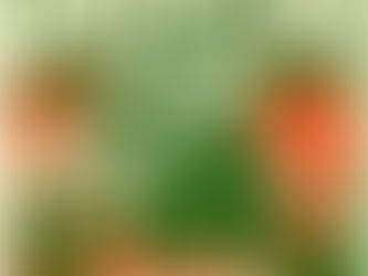 Ebo Taylor, Mike Stern, Hamilton de Holanda, Bob Marley em jazz...