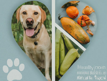 The Benefits of a Plant-Based Diet for Your Pup