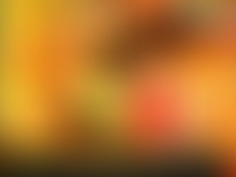 FILM REVIEW: PANI (2024)