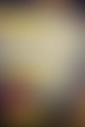 FILM REVIEW: THE DIARY OF WEST BENGAL