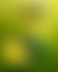 The second half of Season Two will consist of four episodespremiering weekly, starting Thursday, March 14 on Prime Video