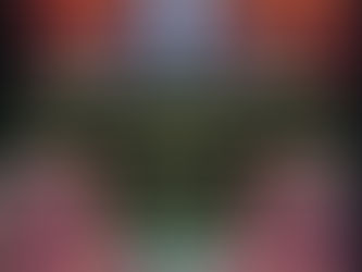 SERIES REVIEW: THE TRIAL SEASON 2 “Kajol wins the case, the show loses it.”