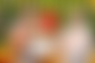 The Hindi remake of SS Rajamouli’s Chatrapathi readies for its release!  - Suyash Pachauri