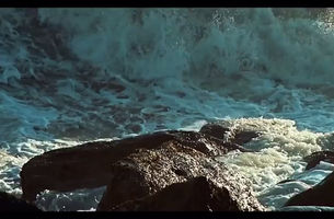 RAM GOPAL VERMA IS BACK WITH HIS UPCOMING MOVIE D COMPANY...