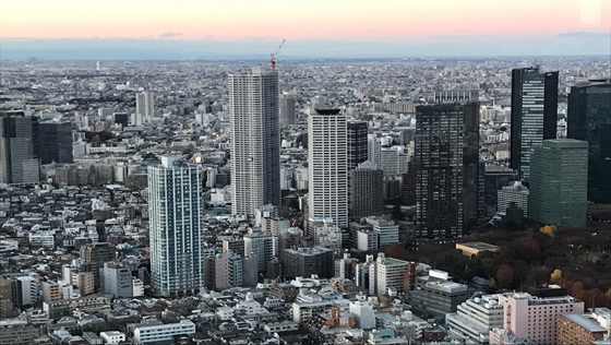 Thành phố Tokyo nhìn từ trên cao