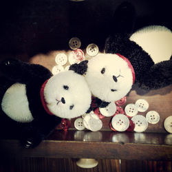 Ding Ding & Dong Dong - Adopted