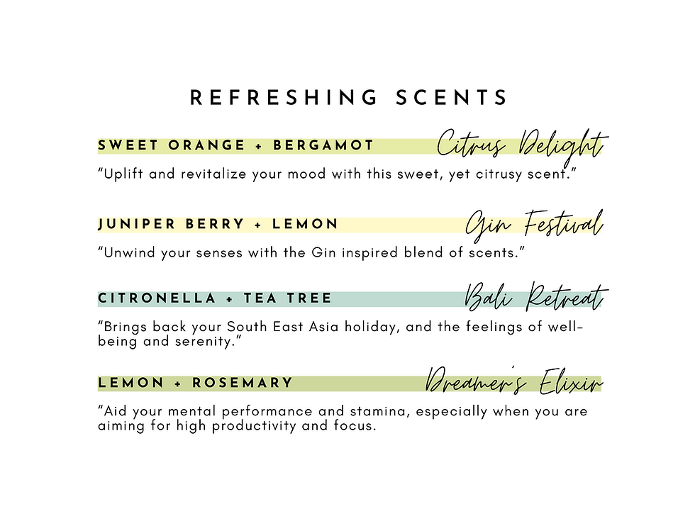 Thumbnail: Cactus Wax Melts Burner Set. with Essential Oil Soy Wax Melts.