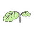 嫩葉.png