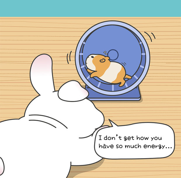 Live Wire ‧ Act 3｜Daily mini-theater