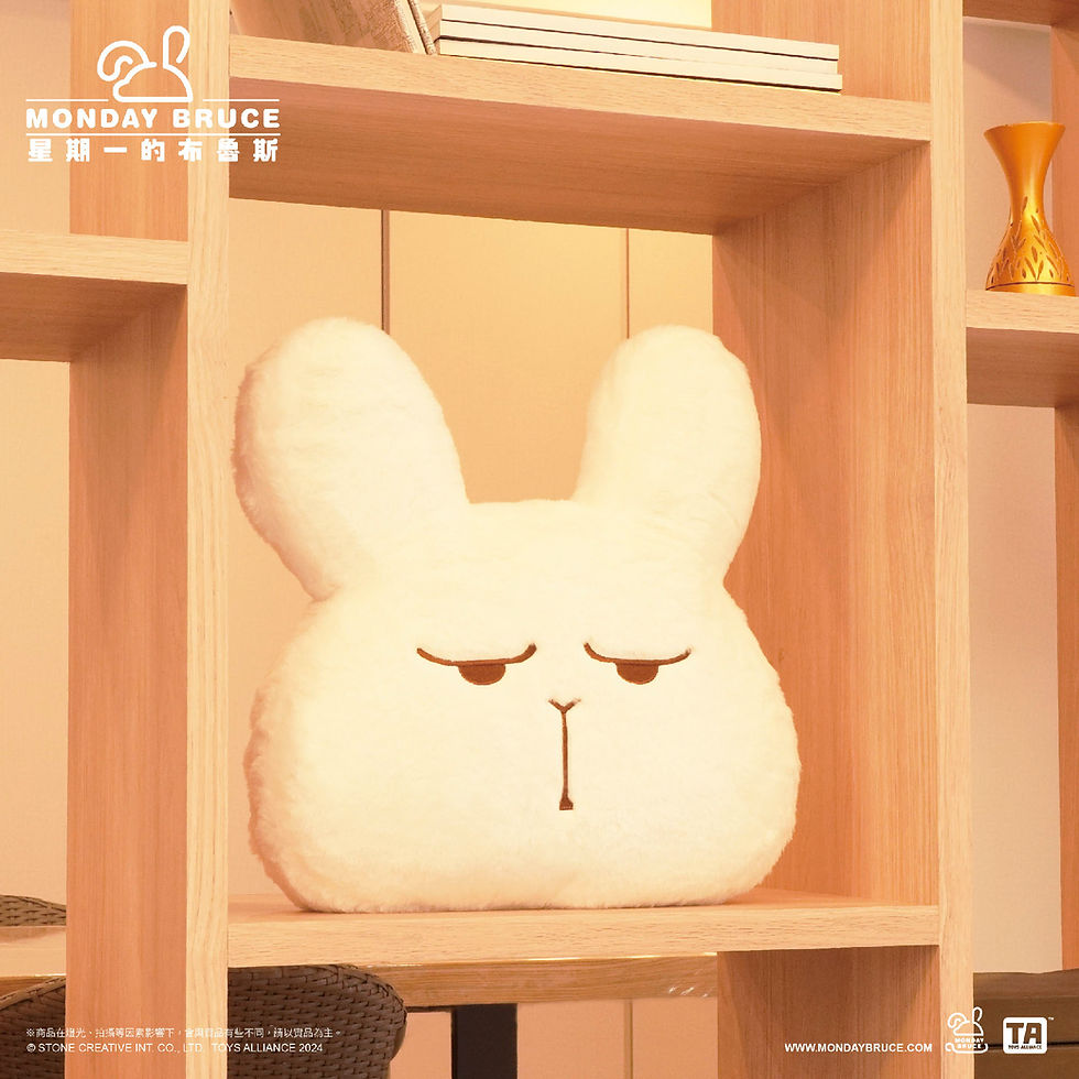 MONDAY BRUCE 星期一的布魯斯 MBR-M03 布魯斯靠枕-白