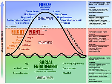 scale of activation.png