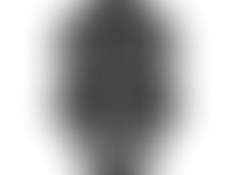 Inscripción 0 de Ordinals en Bitcoin con calavera pixelada en blanco y negro