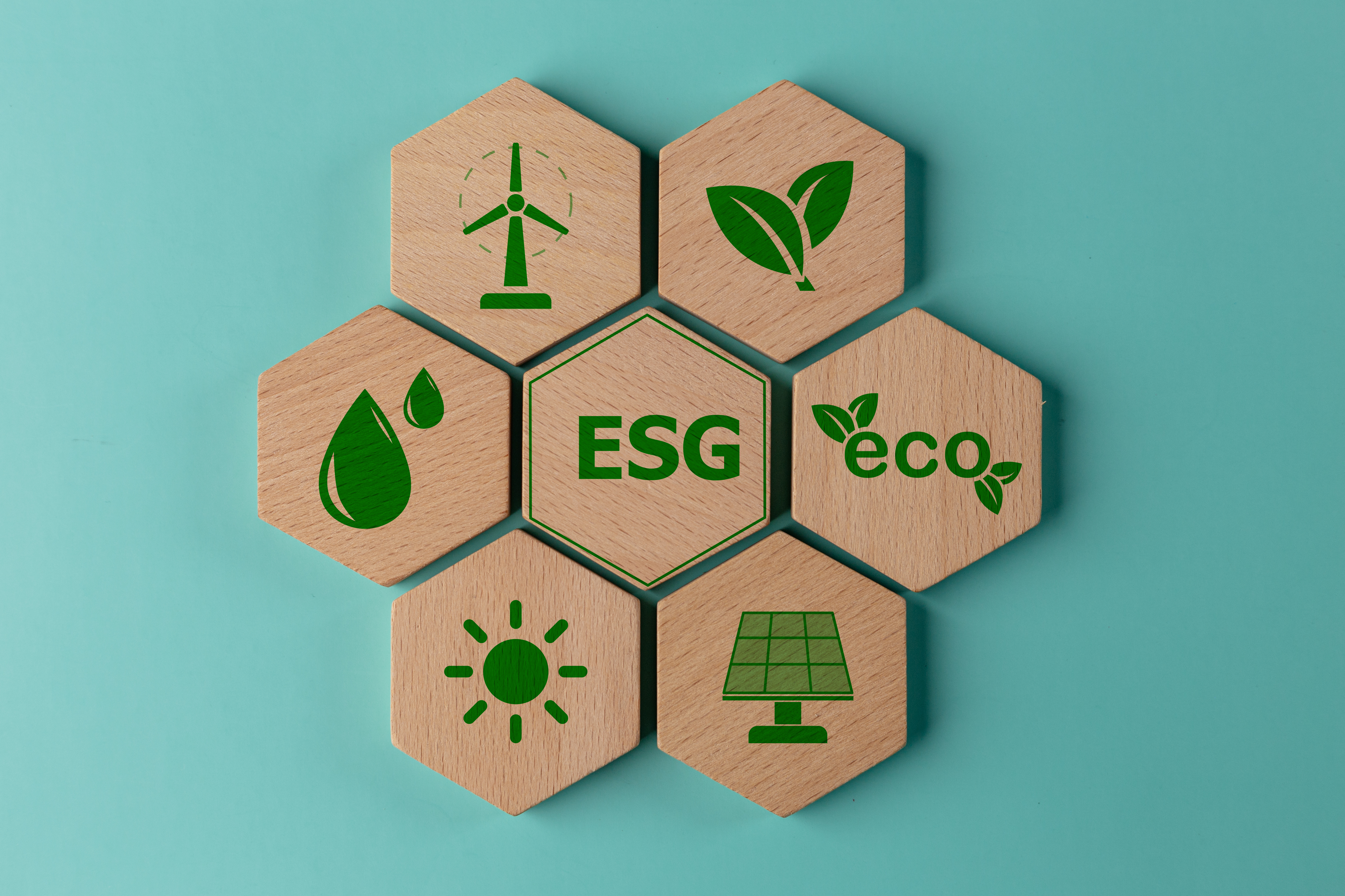 esg-concept-of-environmental-esg-or-environmental-2025-02-12-23-07-52-utc.jpg