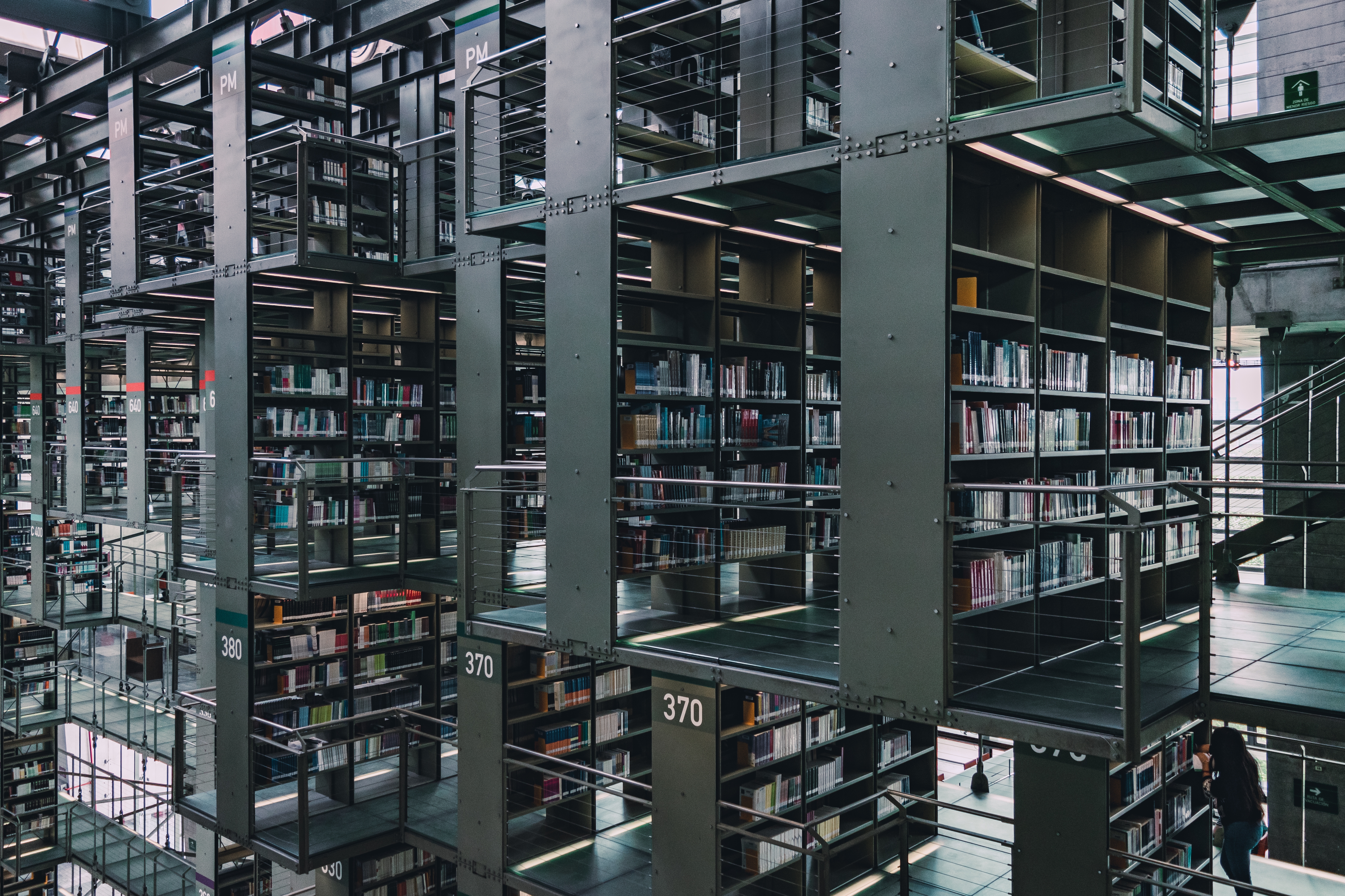 closeup-shot-of-bookshelves-of-vasconcelos-library-2025-02-11-18-03-23-utc.jpeg