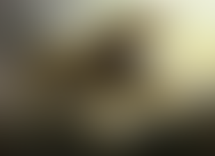 【原初の災厄、ザカマ】デッキレシピを追加しました