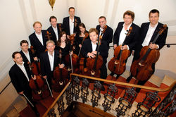 柏林愛樂12把大提琴-音樂家合影