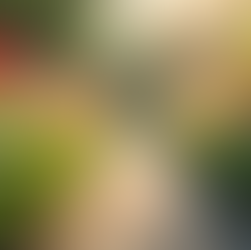 Understanding the Subtle Changes of Perimenopause and Their Impact on Wellbeing