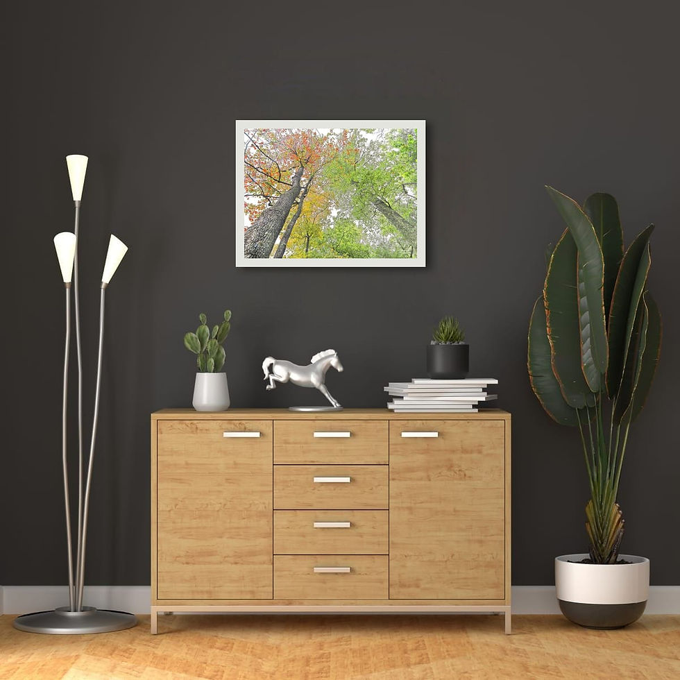 Thumbnail: Early Autumn Canopy 18x24
