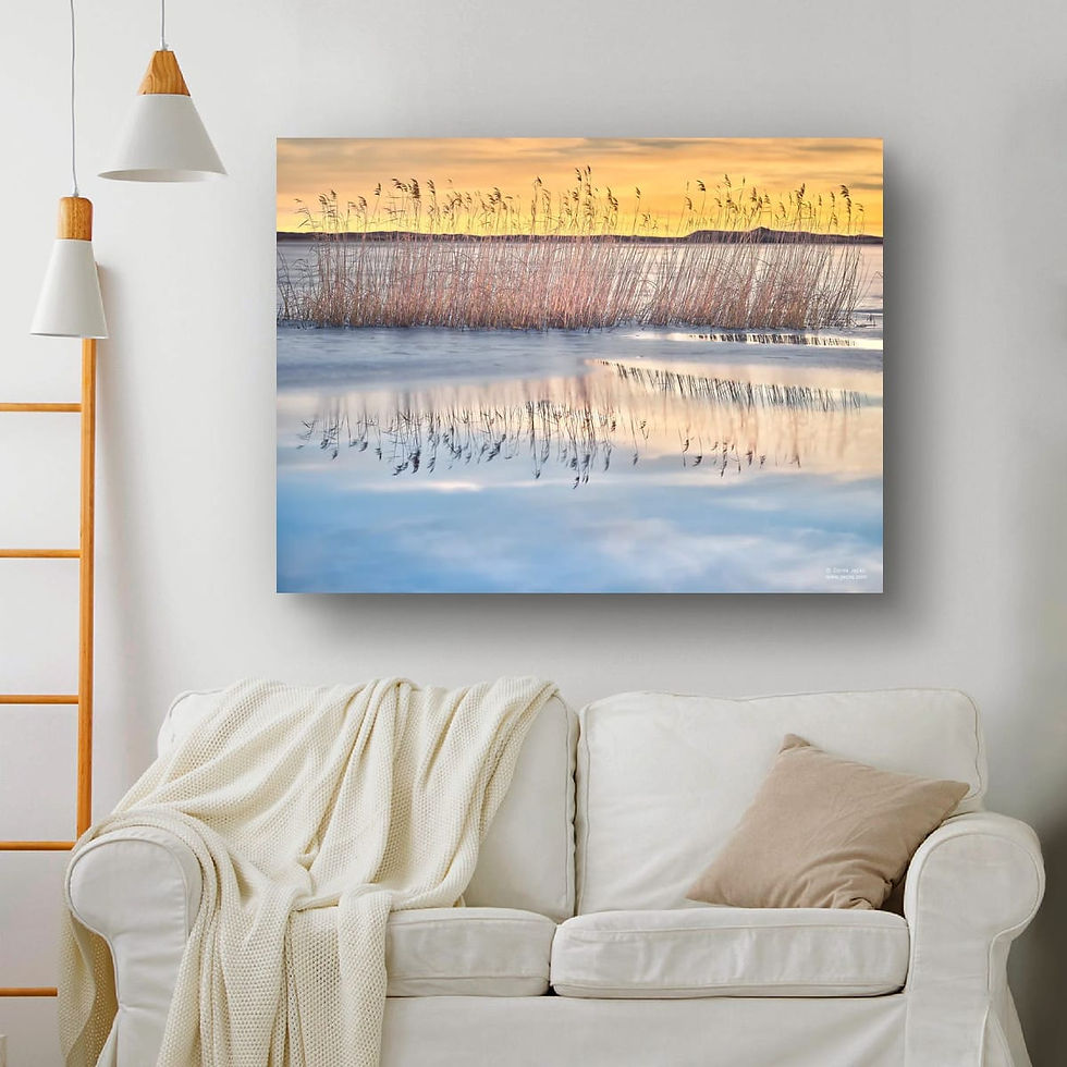 Thumbnail: Frozen Reflection 18x24