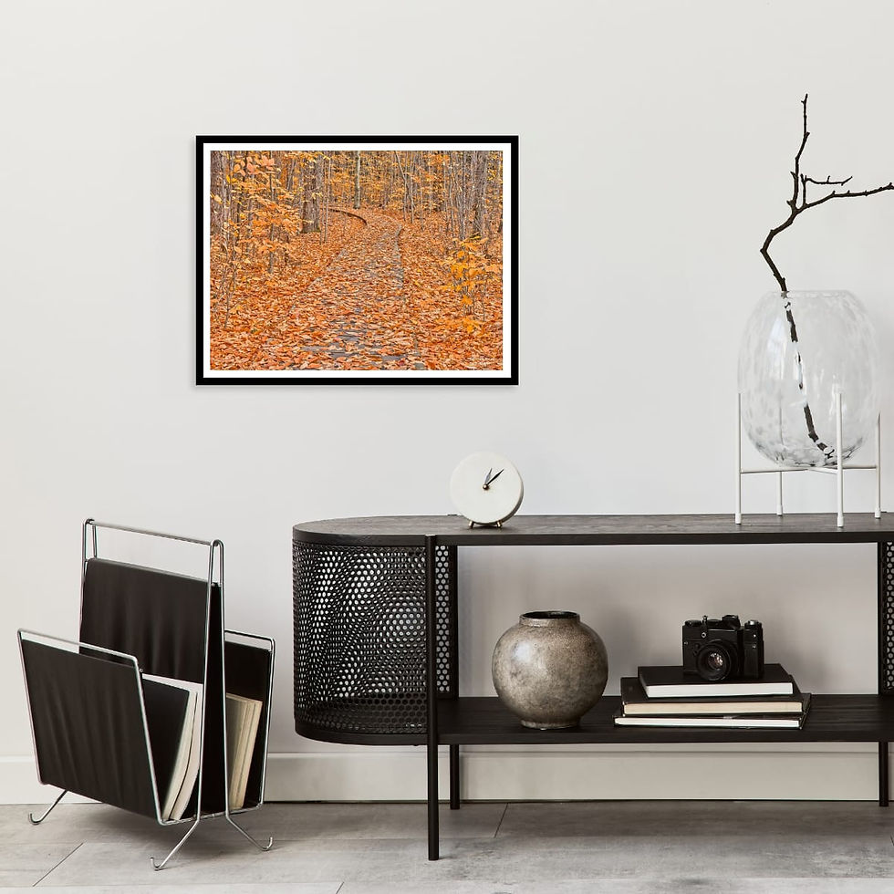 Thumbnail: Fall PAthway 18x24