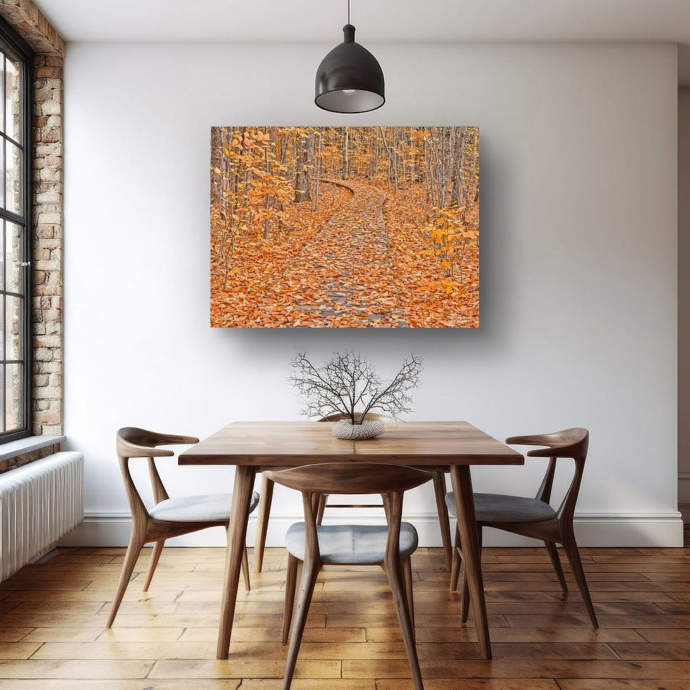Thumbnail: Fall PAthway 18x24