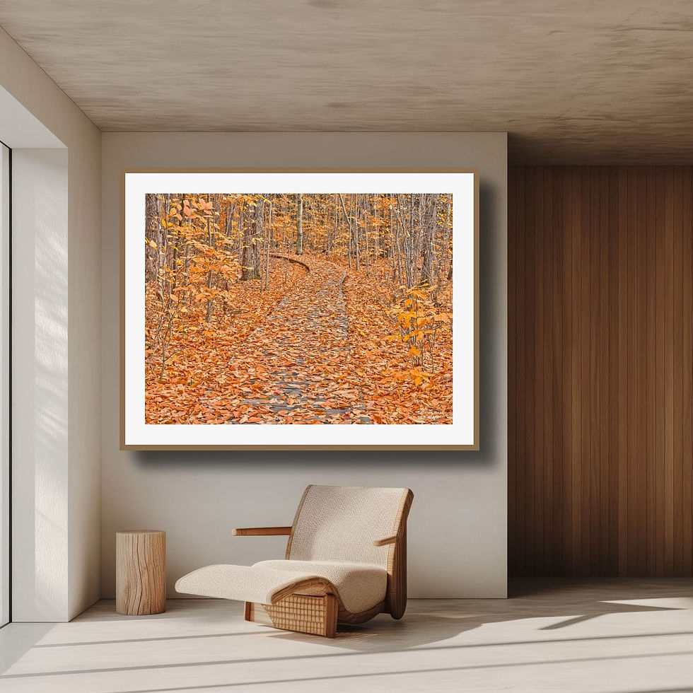 Thumbnail: Fall PAthway 18x24