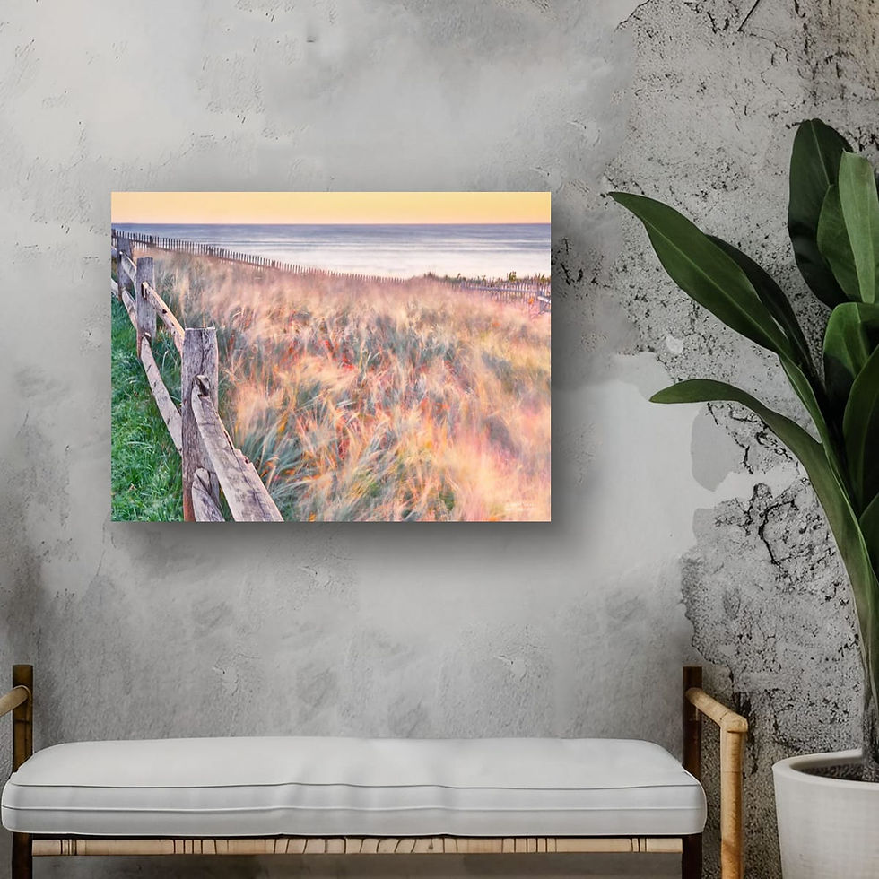 Thumbnail: Windy Dawn 18x24