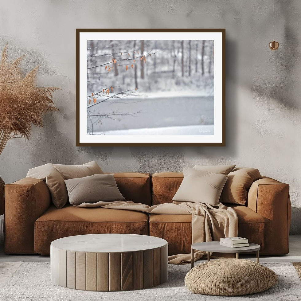 Thumbnail: Winter's Grace 18x24