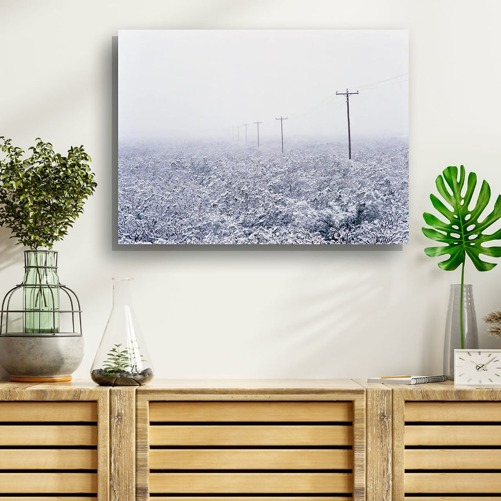 Thumbnail: Into The White 18x24