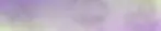 ThymelessTreats-Header-Lavender.webp