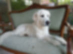 imagejpeg_0