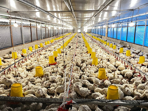 Salinan dari WhatsApp Image 2025-05-30 at 20.39.52.jpeg