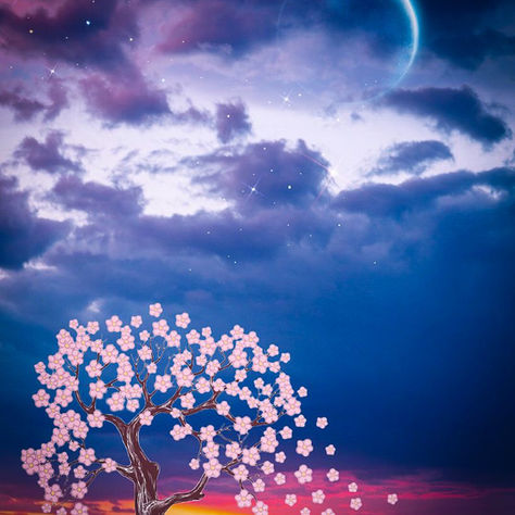 🎇Nouvelle Lune en Gémeaux 🌝