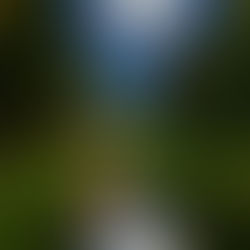 Pleine Lune du 25 Mars 2024 🌝