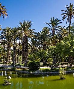 palmentuin Elche 2.jpg