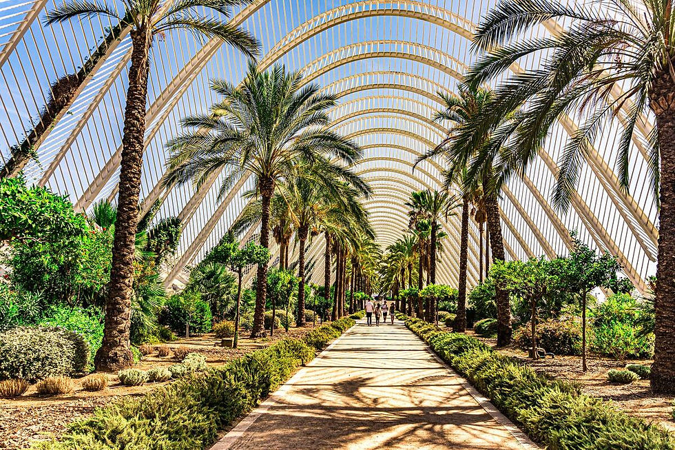 valencia-jardines-de-turia.6.b958