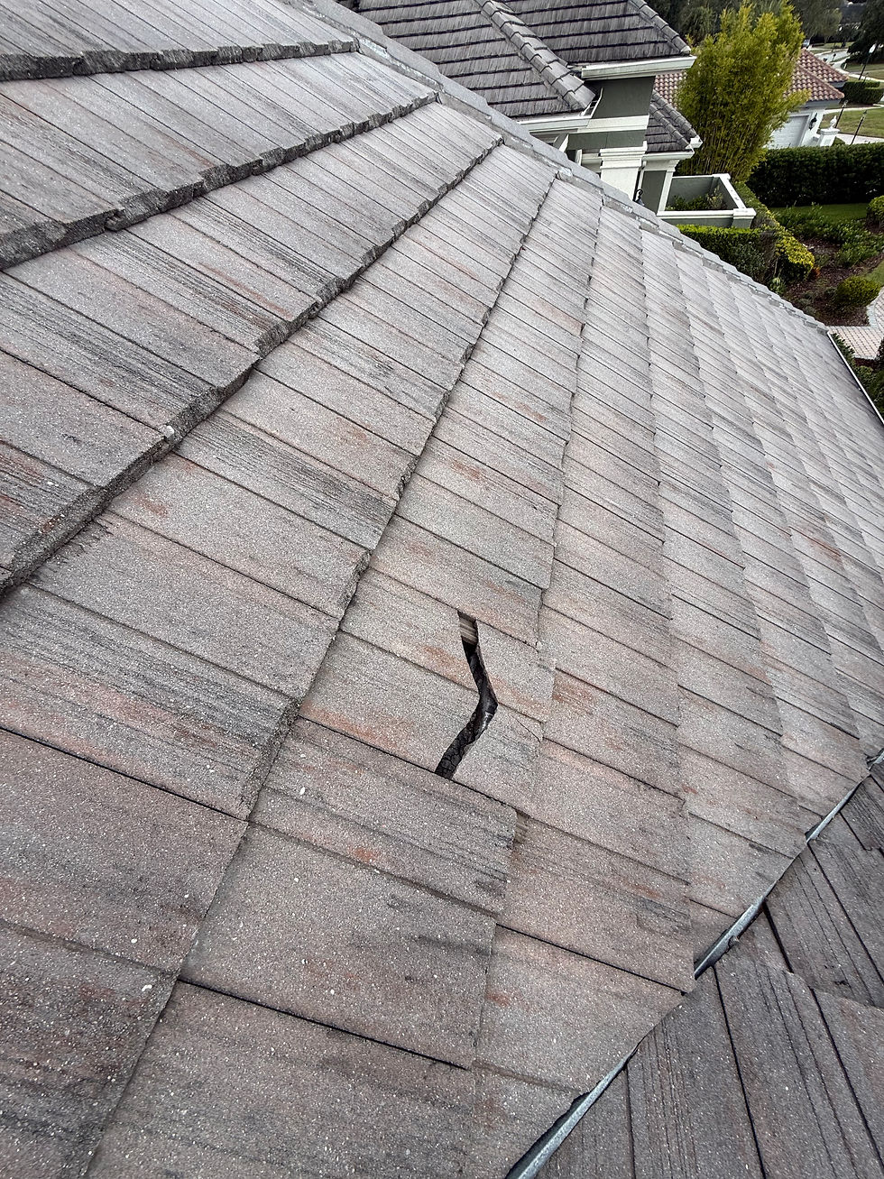 Cracked Roof Tile

