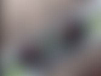 The Problem With (most) Free Roof Inspections