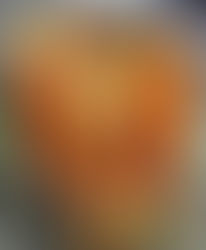 নেমন্তন্ন বাড়িতে গরমভাতে ডালের সঙ্গে অথবা বিকেলের চায়ের আড্ডায় এই ফ্রাই মানেই জিভে জল। রেসিপি দিলেন ঐন্দ্রিলা ভট্টাচার্য।