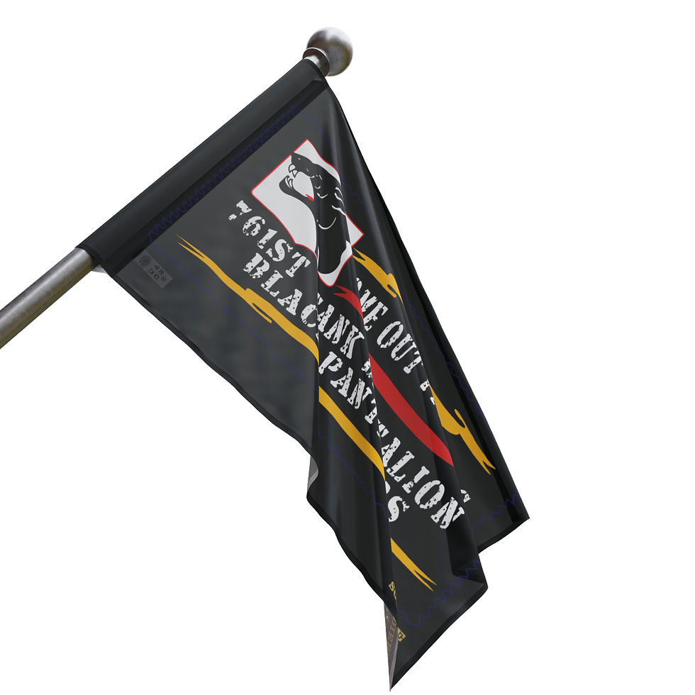 Thumbnail: SALUTE TO SOULDIERS "BLACK PANTHERS" Flag