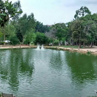 Estrada Mun, 1300. - Sorocabucu, Ibiúna - SP, 18150-000, Brasil