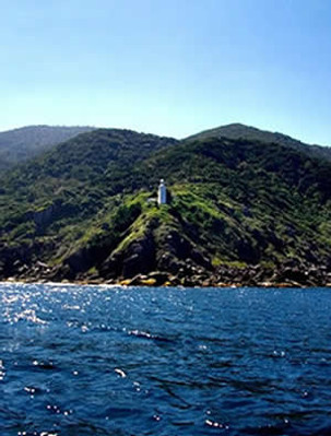 ponta do vboi.jpg
