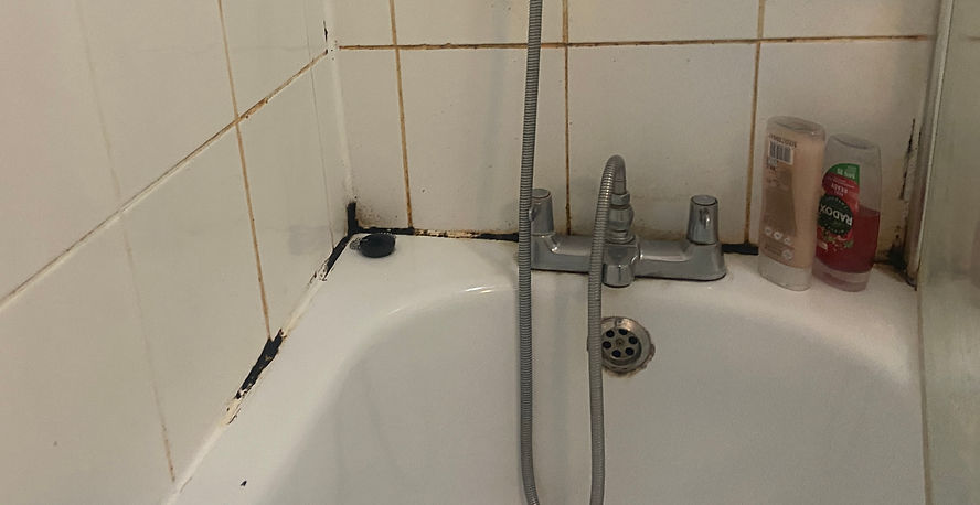 mould.jpg