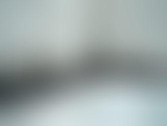 Effective Strategies for Bathroom Mould Removal and Long-Term Prevention